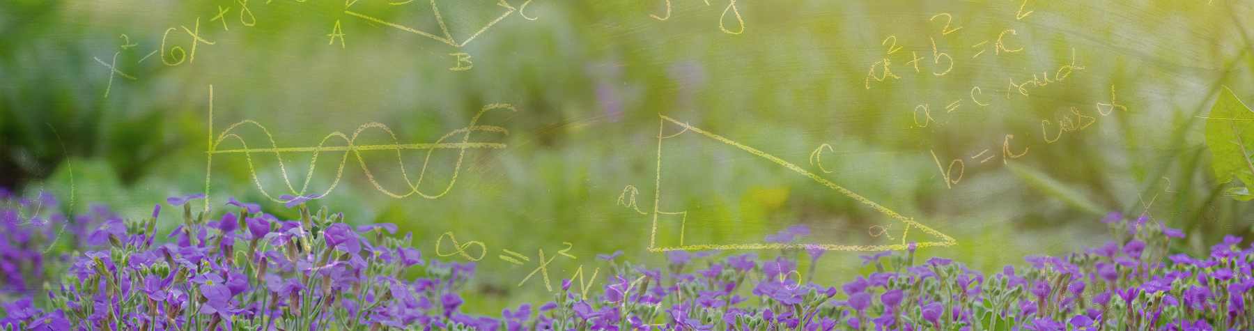 You don’t solve a garden
